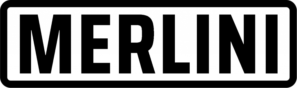 Logo di Merlini Mattia Impresa Individuale a Erbusco Brescia